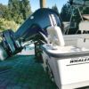 Boston Whaler 170 Montauk engine