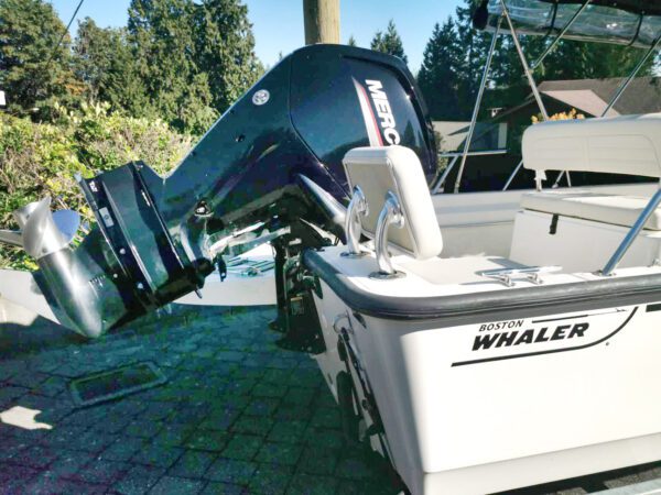 Boston Whaler 170 Montauk engine