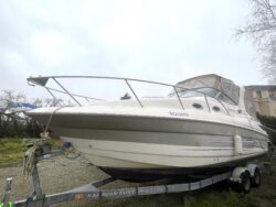 26′ 2009 Larson Cabrio 260
